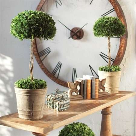 Preserved Boxwood, Tree Topiary