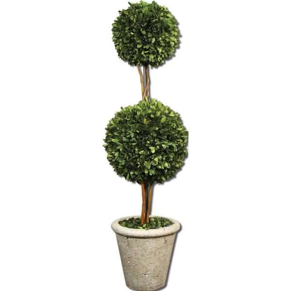 Preserved Boxwood, Two Sphere Topiar - Image 2