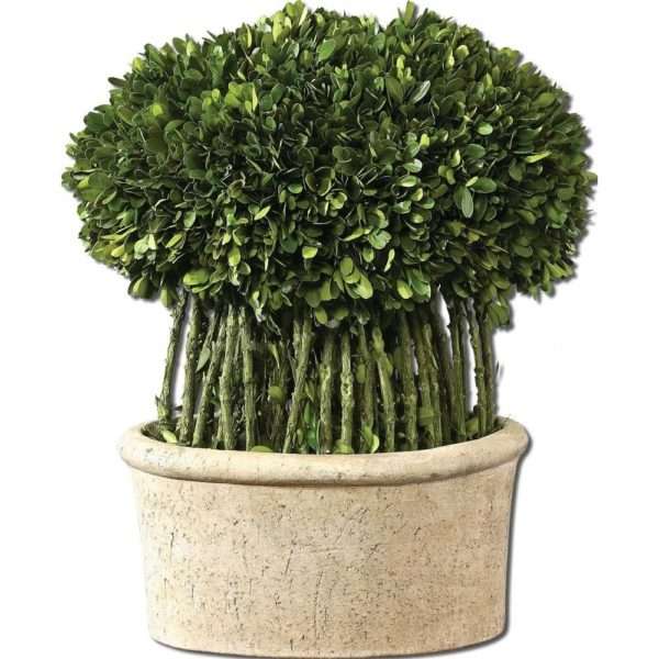 Preserved Boxwood, Willow Topiary - Image 2