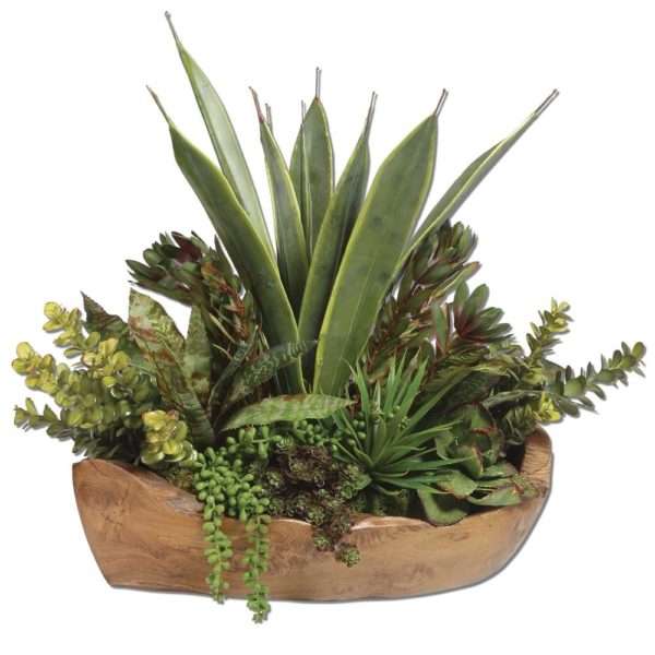 Salar, Succulents - Image 2