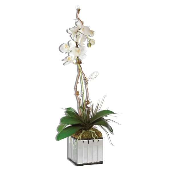 Kaleama Orchids, White - Image 2