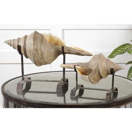 Conch Shell, Sculpture, S/2