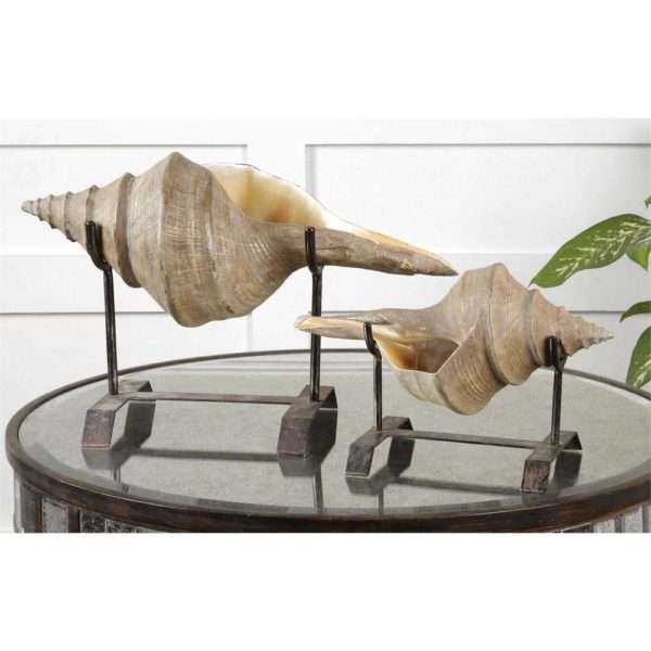 Conch Shell, Sculpture, S/2