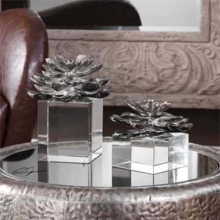Indian Lotus, S/2