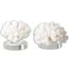 Hard Coral, S/2 - Image 2