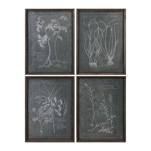Root Study, S/4 - Image 2