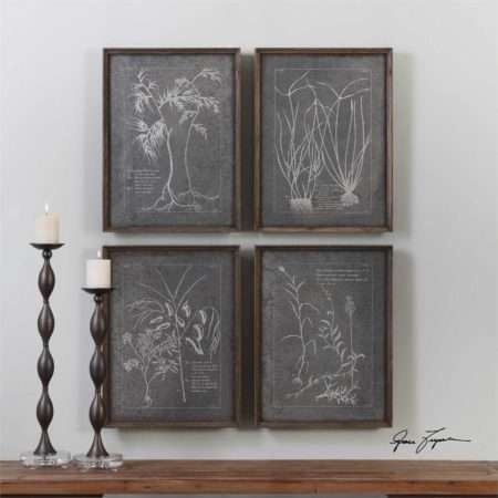 Root Study, S/4
