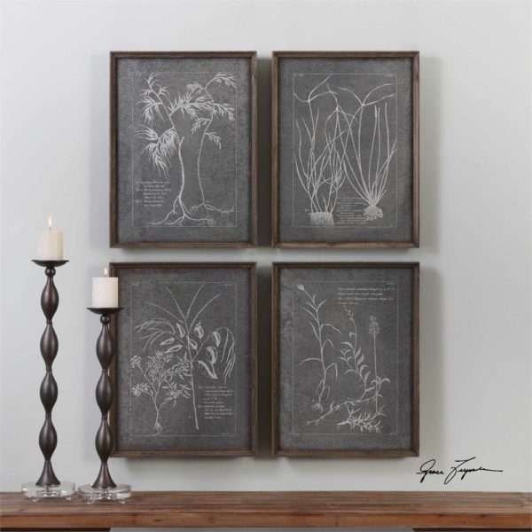 Root Study, S/4