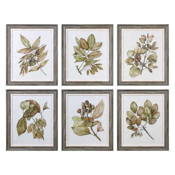 Seedlings,S/6 - Image 2