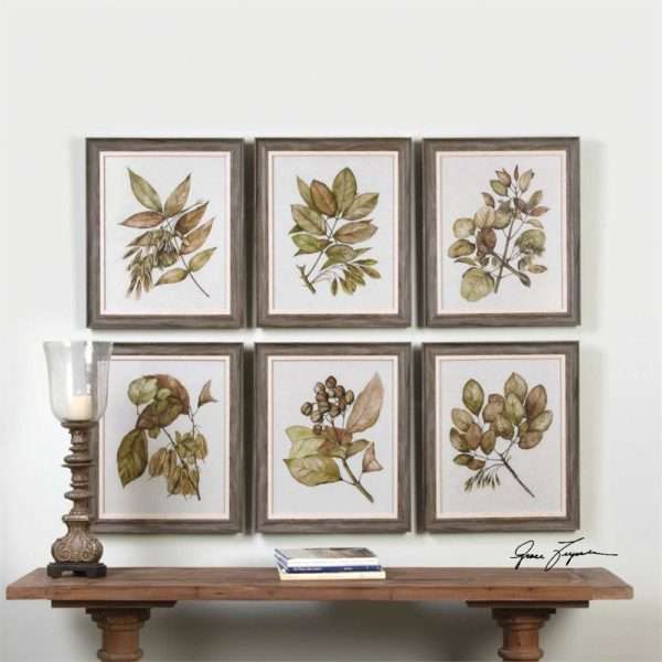 Seedlings,S/6
