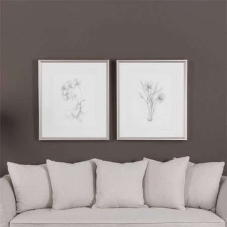 Botanical Sketches, S/2