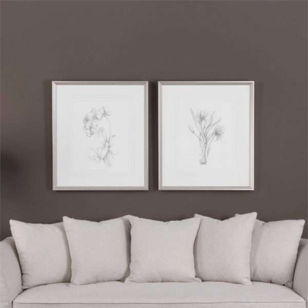 Botanical Sketches, S/2