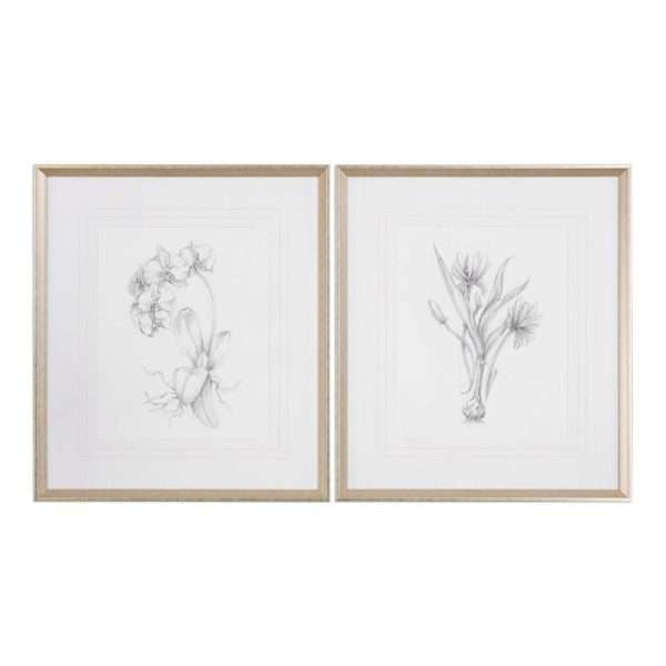 Botanical Sketches, S/2 - Image 2