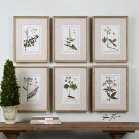 Green Floral Botanical Study, S/6