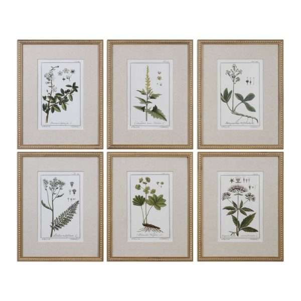 Green Floral Botanical Study, S/6 - Image 2
