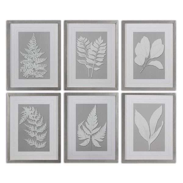 Moonlight Ferns, S/6 - Image 2