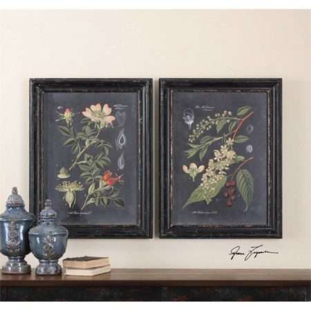 Midnight Botanicals, S/2