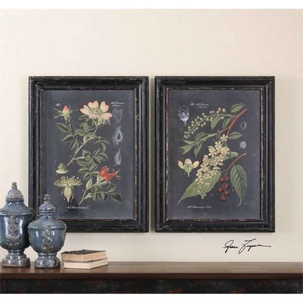 Midnight Botanicals, S/2