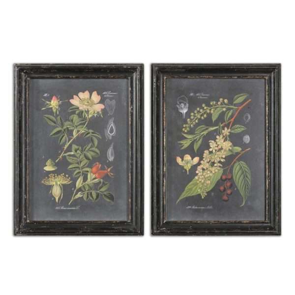 Midnight Botanicals, S/2 - Image 2