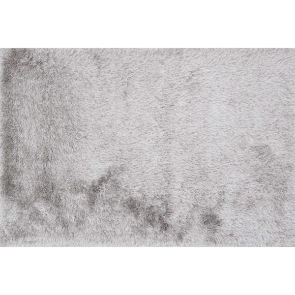 OR-01 SILVER