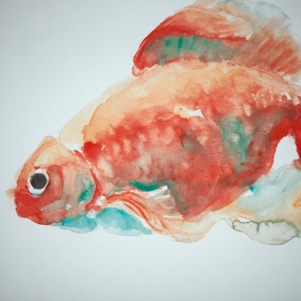 Gilbert Goldfish Frame Art - Image 5