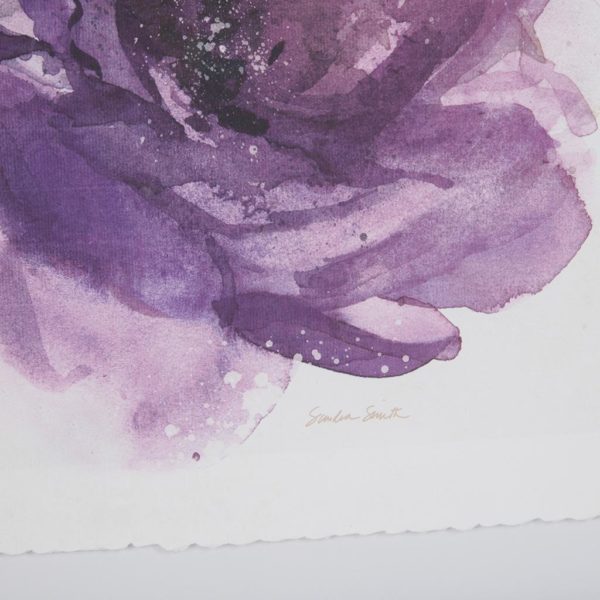 Purple Ladies Rose Frame Graphic 2 Piece Set - Image 6