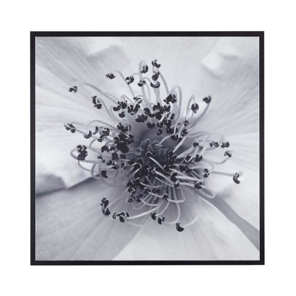 Rose Center Gel Coat With Black Frame - Image 2