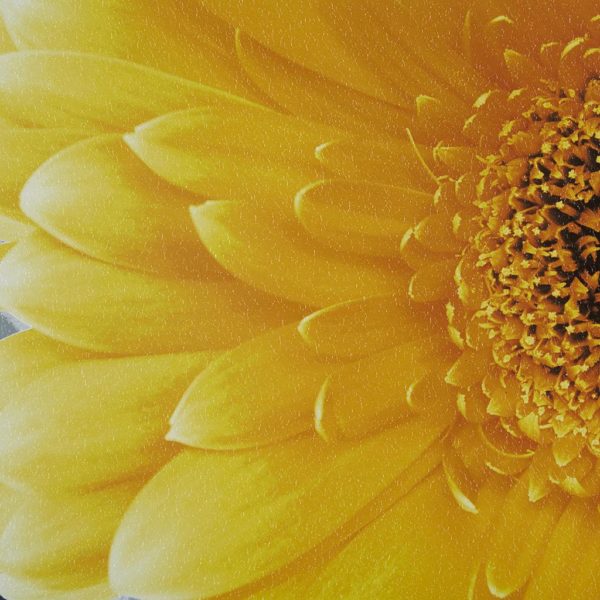 Vibrant Yellow Gel Coated Canvas - Image 2