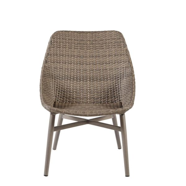 Gwen Outdoor Resin Wicker Dining Chair (Set Of 2)