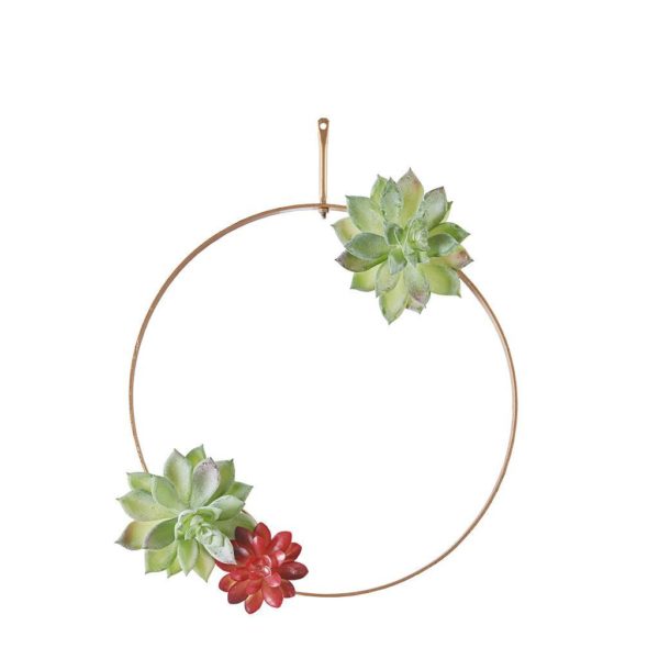 Succulent Trio Man-made on Metal Hangers - Set of 3 - Image 4