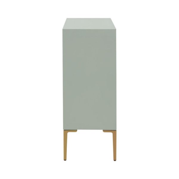 Curry 2 Door Accent Cabinet - Image 4