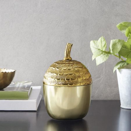 Acorn Container