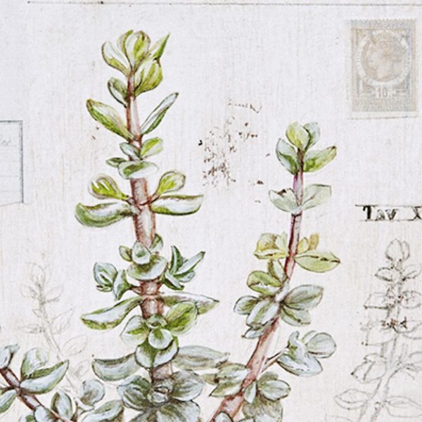 Botanical Terrace Printed Linen Square Canvas 4 Piece Set - Image 4