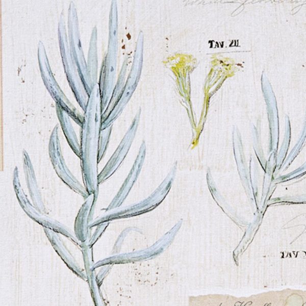 Botanical Terrace Printed Linen Square Canvas 4 Piece Set - Image 6
