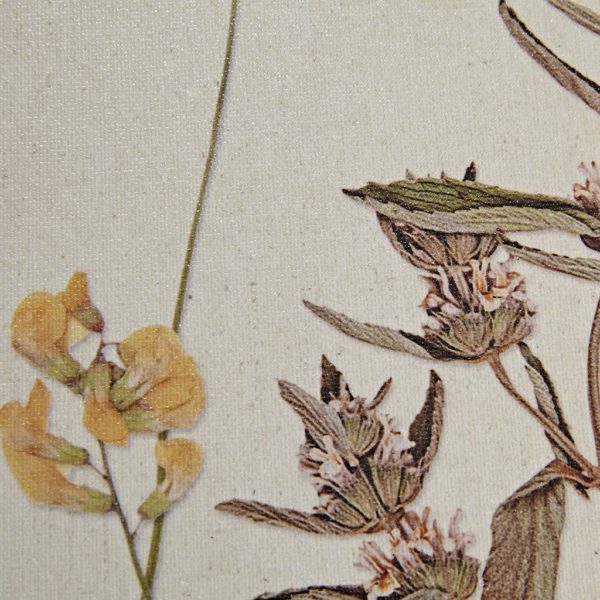 French Herbarium Framed Linen Canvas 2 Piece Set - Image 2