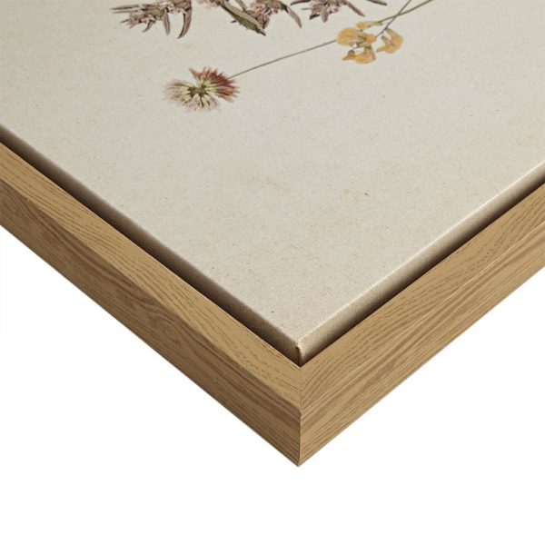 French Herbarium Framed Linen Canvas 2 Piece Set - Image 4