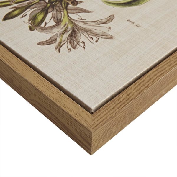 Herbal Botany Framed Linen Canvas 4 Piece Set - Image 2