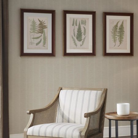 Lady Fern Collection Single Mat Framed Graphic 3 Piece Set