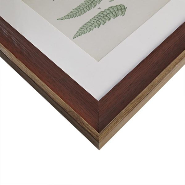 Lady Fern Collection Single Mat Framed Graphic 3 Piece Set - Image 2