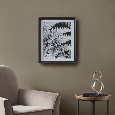 Ostrich Fern I Framed Glass Wall Art Single Mat