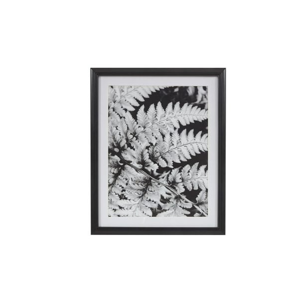 Ostrich Fern I Framed Glass Wall Art Single Mat - Image 2