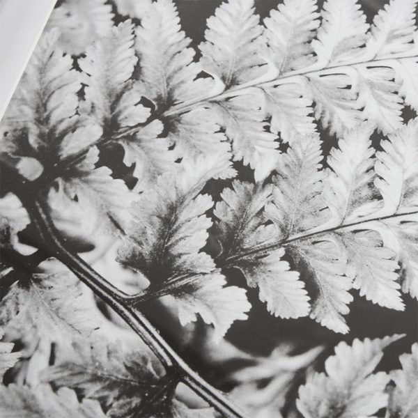 Ostrich Fern I Framed Glass Wall Art Single Mat - Image 3