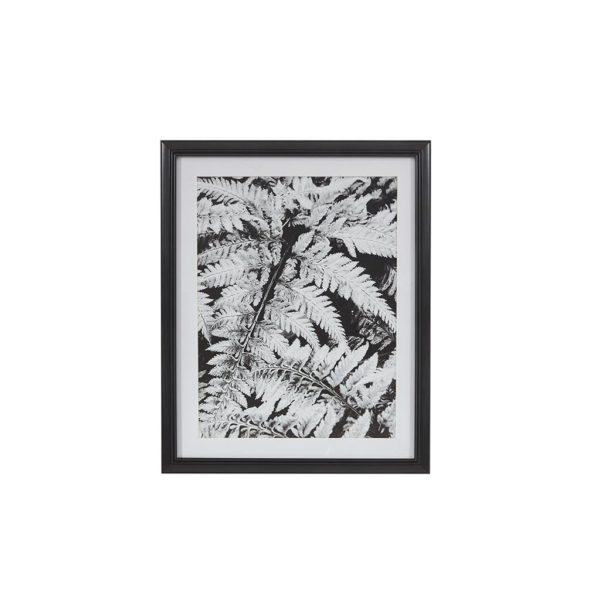 Ostrich Fern II Framed Glass Wall Art Single Mat - Image 2