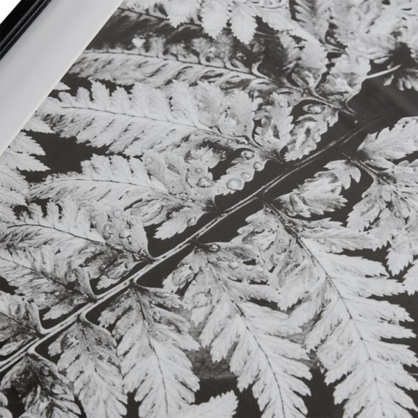 Ostrich Fern II Framed Glass Wall Art Single Mat - Image 3