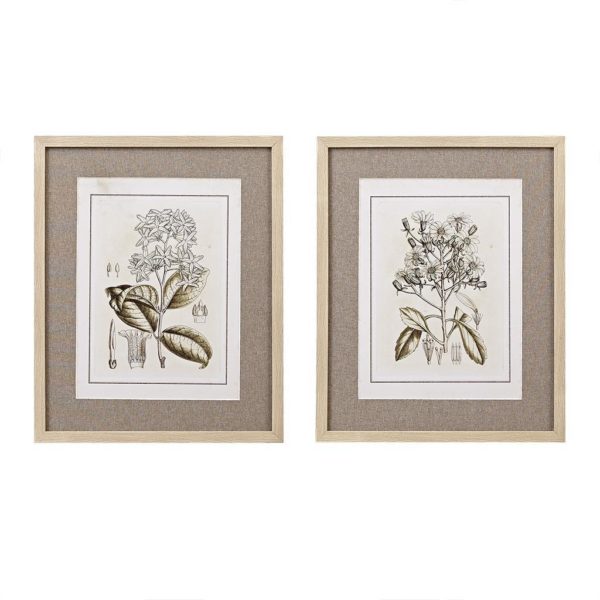 Tinted Botanical Single Linen Mat 2 Piece Set - Image 2