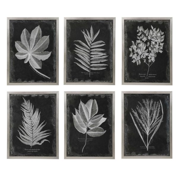 33671 FOLIAGE (10171) - Image 2
