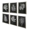 33671 FOLIAGE (10171) - Image 4
