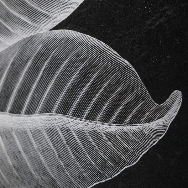 33671 FOLIAGE (10171) - Image 5