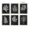 33671 FOLIAGE (10171) - Image 7