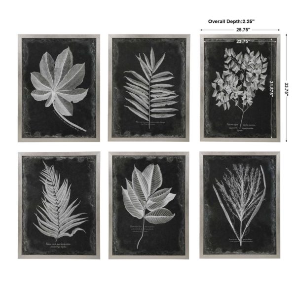 33671 FOLIAGE (10171) - Image 7